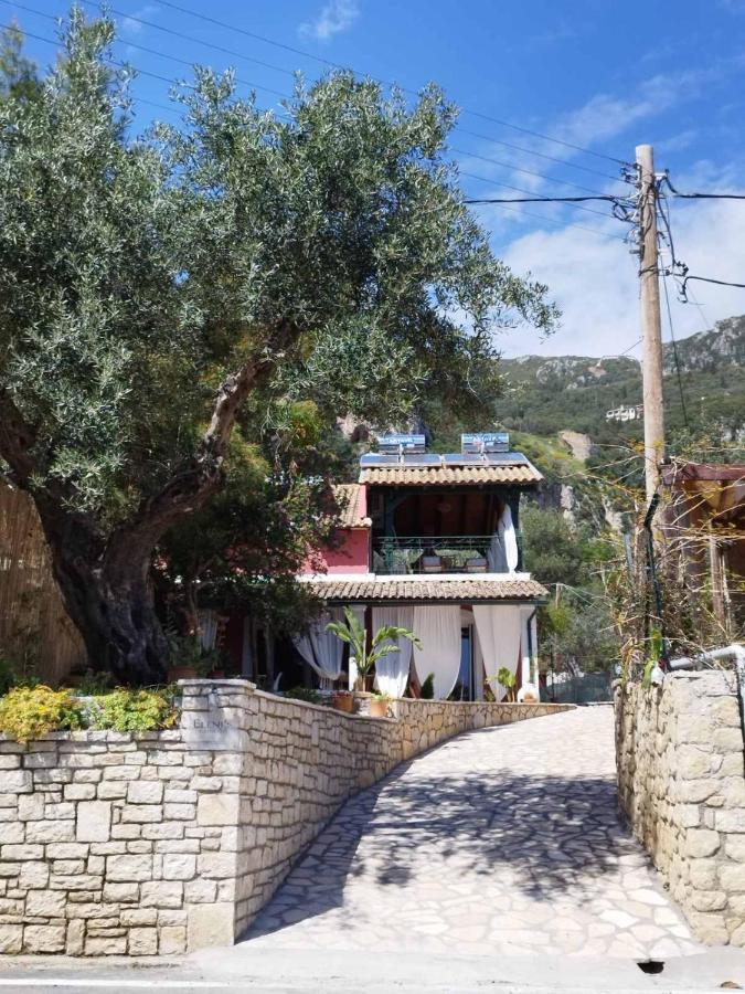 Eleni'S Guesthouse Παλαιοκαστρίτσα Εξωτερικό φωτογραφία